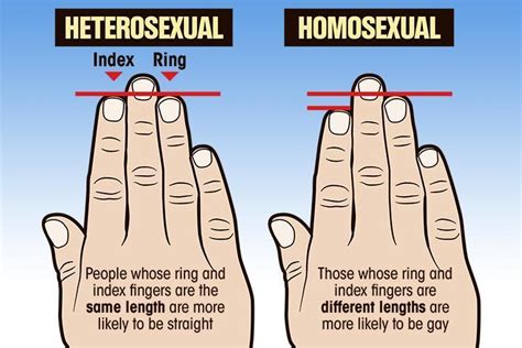 The relative lengths of your left hands index and ring finger may be able to show whether youre gay or straight, according to new research. . Gay fingering